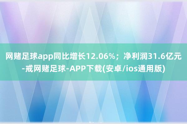 网赌足球app同比增长12.06%；净利润31.6亿元-戒网赌足球-APP下载(安卓/ios通用版)