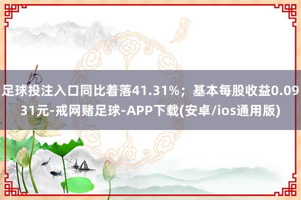 足球投注入口同比着落41.31%；基本每股收益0.0931元-戒网赌足球-APP下载(安卓/ios通用版)