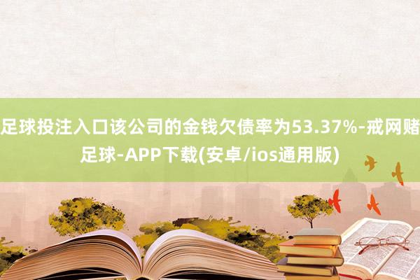 足球投注入口该公司的金钱欠债率为53.37%-戒网赌足球-APP下载(安卓/ios通用版)