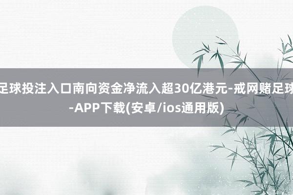 足球投注入口南向资金净流入超30亿港元-戒网赌足球-APP下载(安卓/ios通用版)