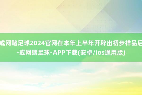 戒网赌足球2024官网在本年上半年开辟出初步样品后-戒网赌足球-APP下载(安卓/ios通用版)