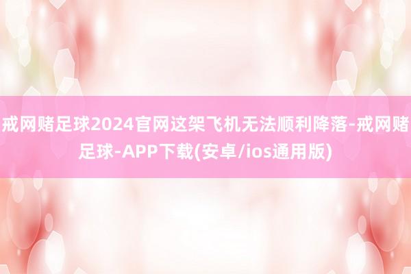 戒网赌足球2024官网这架飞机无法顺利降落-戒网赌足球-APP下载(安卓/ios通用版)