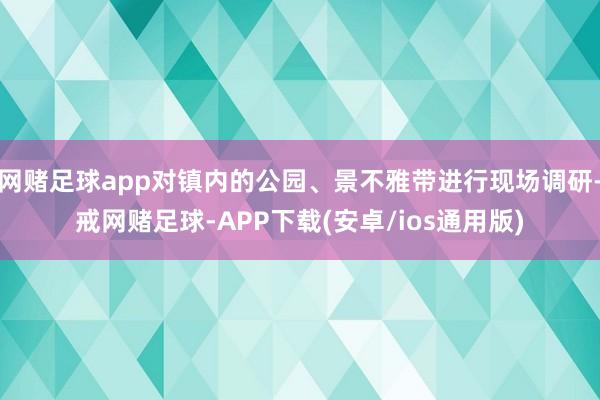 网赌足球app对镇内的公园、景不雅带进行现场调研-戒网赌足球-APP下载(安卓/ios通用版)